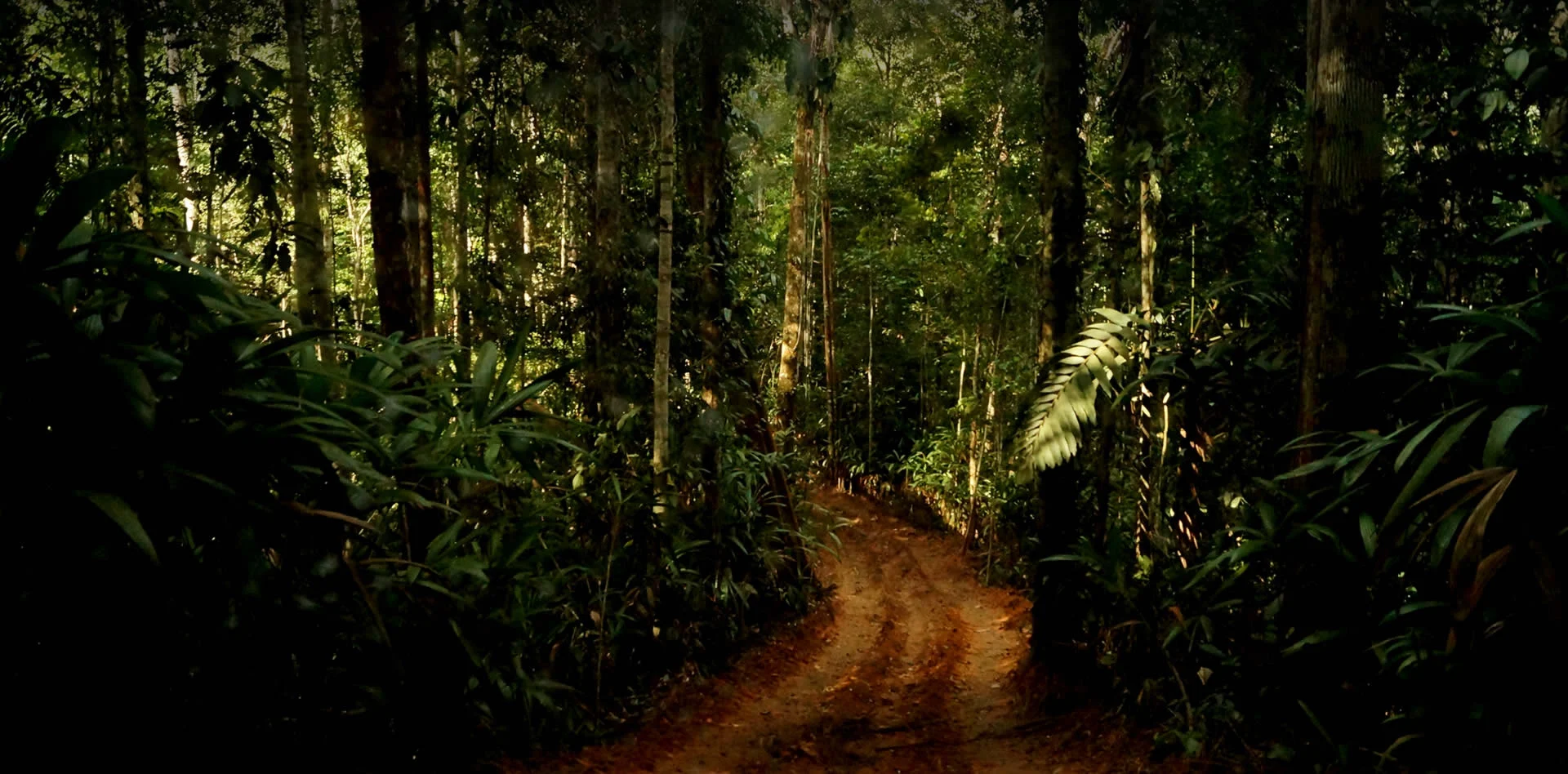 Bosque amazónico, origen de la actividad forestal de Grupo Henderson