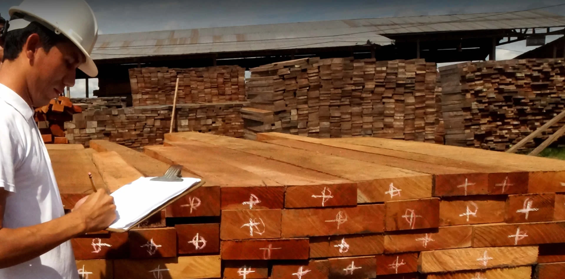 Operario de Grupo Henderson revisando madera dimensionada en planta