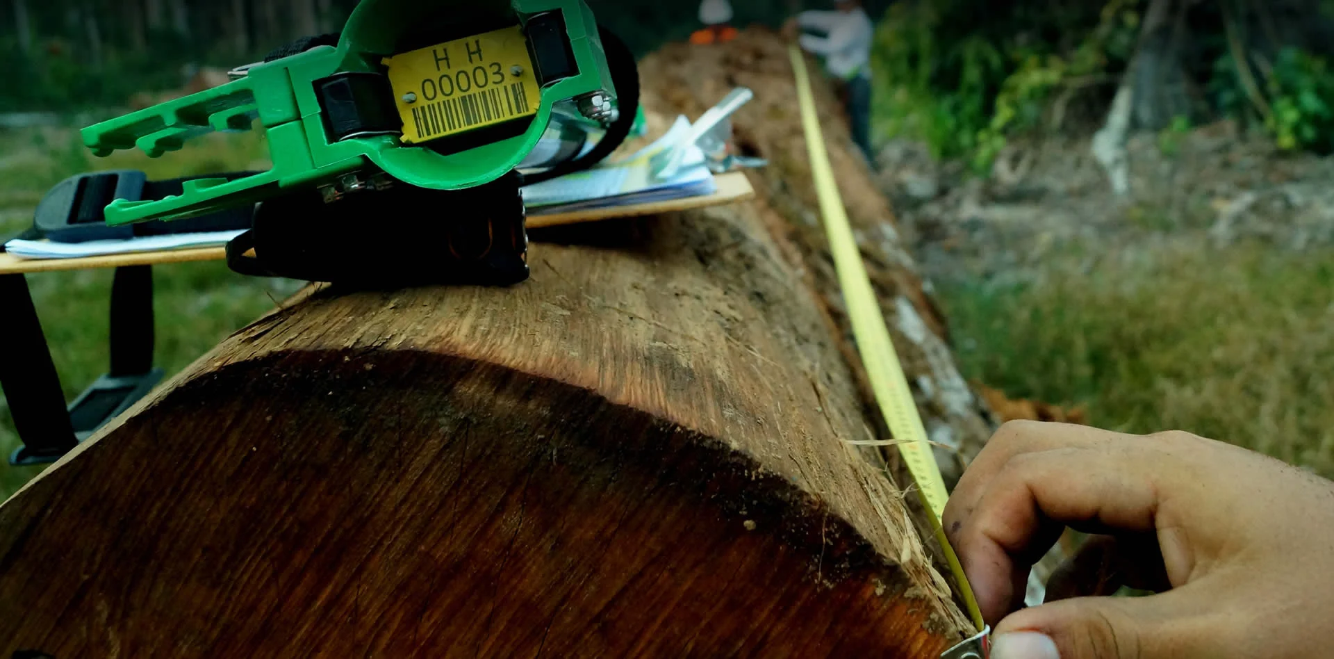Madera procesada en las operaciones de Grupo Henderson