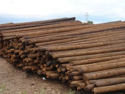 Postes de madera del catálogo de Grupo Henderson
